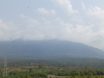 photo 1168326