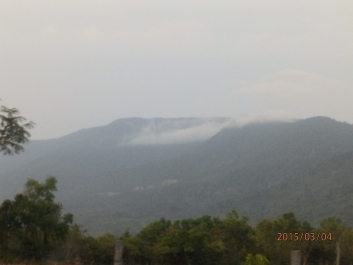 photo 1168330