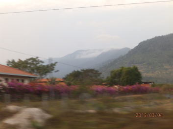 photo 1168332