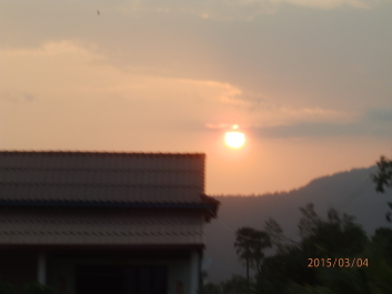 photo 1168335
