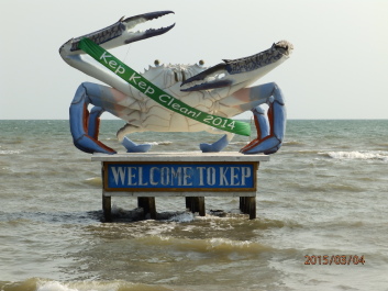photo 1168415