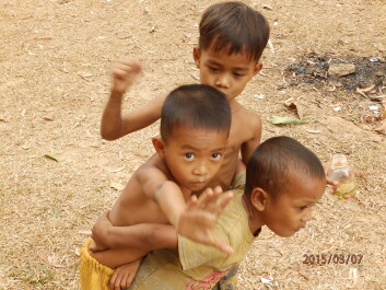 photo 1168791