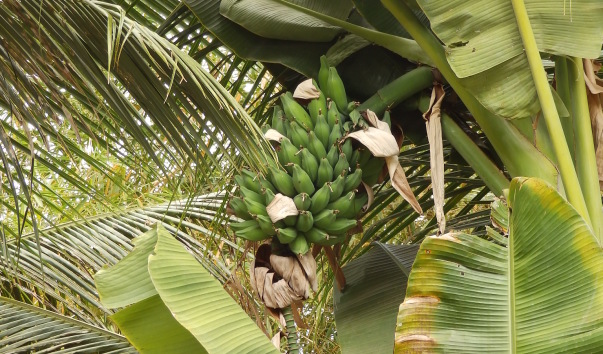P3073281
