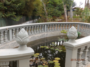 photo 1168809