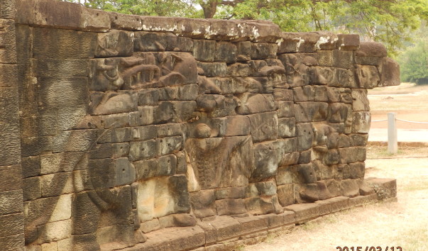 P3124558