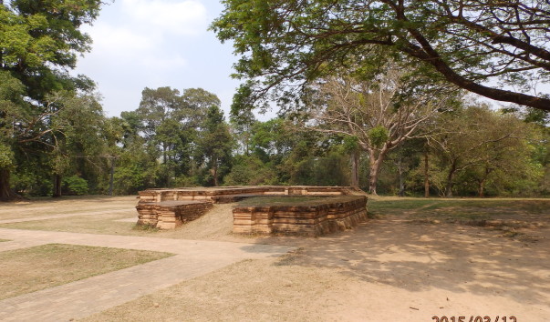 P3124691