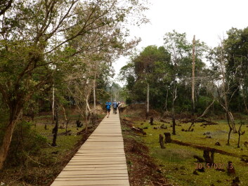 photo 1251565