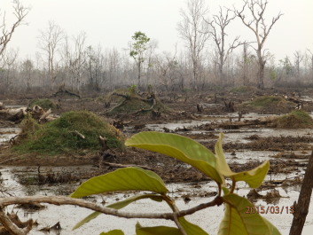 photo 1251591