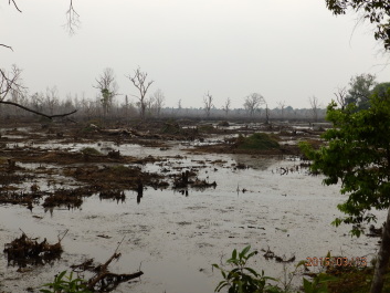 photo 1251594