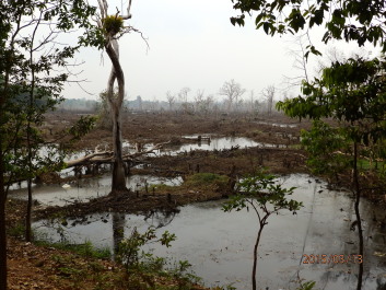 photo 1251596