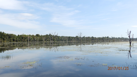 photo 1542735