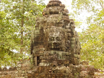 photo 1251599