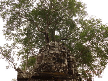 photo 1251629