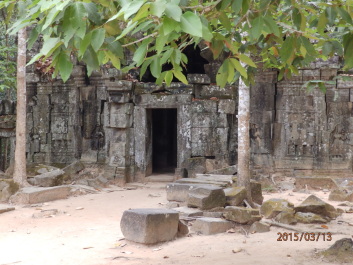 photo 1251635