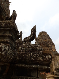 photo 1251698
