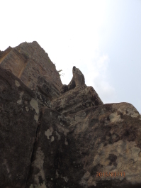 photo 1251699