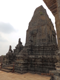 photo 1251706