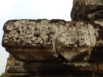 photo 1251719