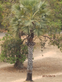 photo 1251720