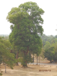 photo 1251724