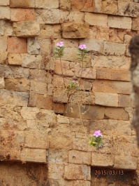 photo 1251758