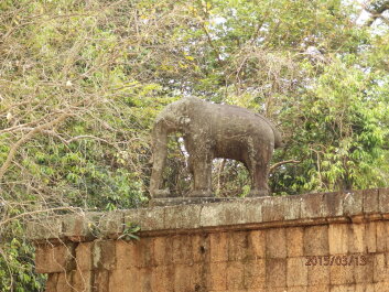 photo 1251820