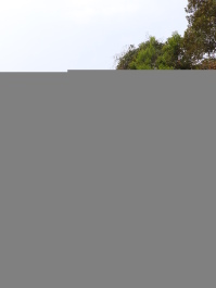 photo 1251821