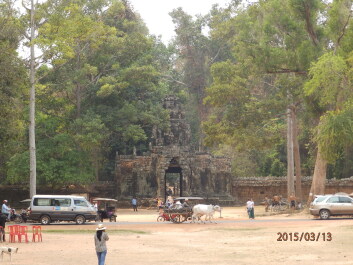 photo 1251950