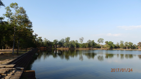 photo 1541482