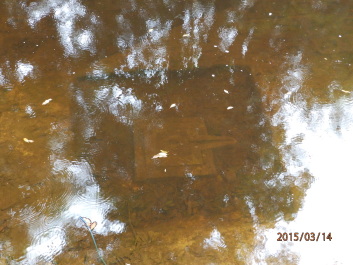 photo 1253748