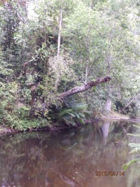photo 1253749