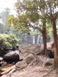 photo 1253767