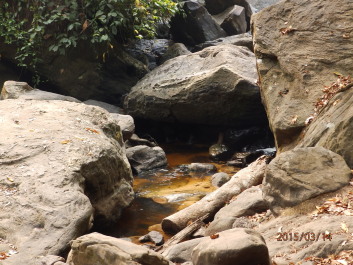 photo 1253768