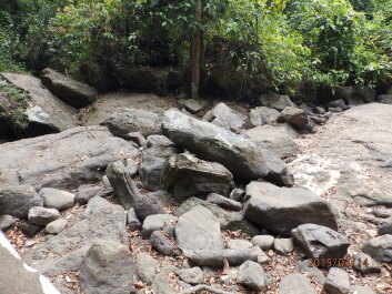 photo 1253769