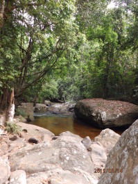 photo 1253771