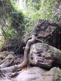 photo 1253774