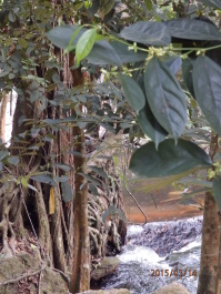 photo 1253776