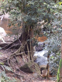 photo 1253779