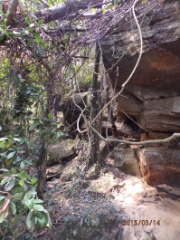 photo 1253780
