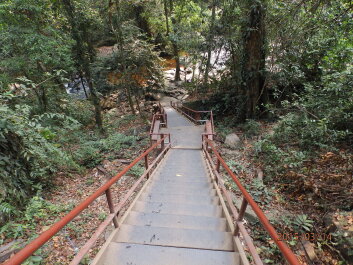 photo 1253781