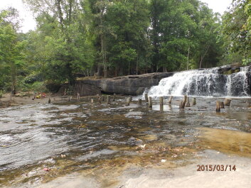 photo 1253788