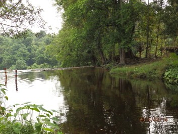 photo 1253791