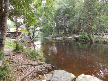 photo 1253795