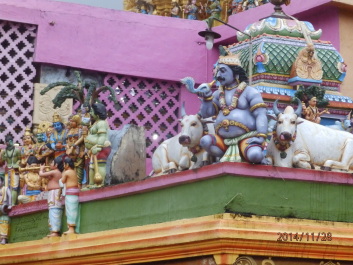 photo 1256377