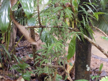 photo 1256515