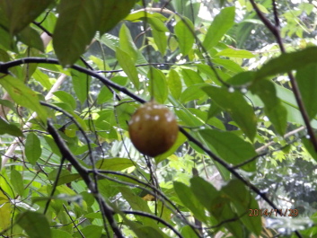 photo 1256524