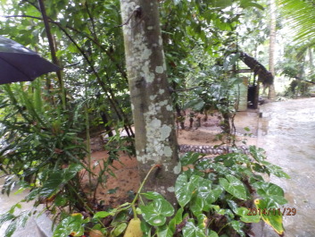 photo 1256526