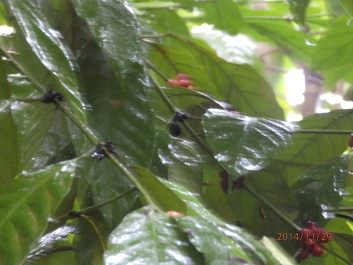photo 1256528
