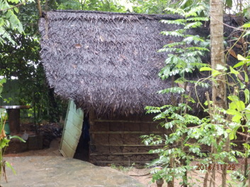 photo 1256531