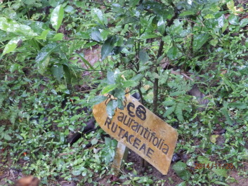 photo 1256533